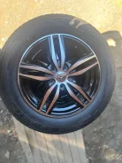 Nereus NS601. ������, 2025 ���, �/�, ����� �� 5 % ����