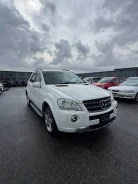 Mercedes-Benz M-Class. W164, 272967 ����