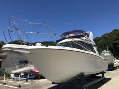 Nissan Suncruise. 2004 ���, ����� 8,5��., ��������� ������������, 230��.�., ������. ��� ����� �� ������������ ����