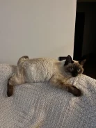 �����. ����