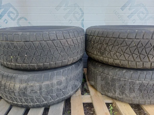 Bridgestone Blizzak DM-Z2. ������, ��� �����, �/�, ����� 25 % ����
