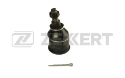 ����� ������� ����. � tg5191 Zekkert TG5191 ����