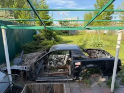 Pontiac Firebird. FBODY ����
