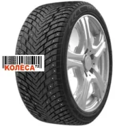ZMax Winternova Stud II