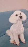���������� ������. ����