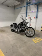 ����� �����������. ����