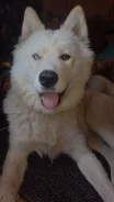������. ����