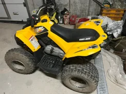 BRP Can-Am DS 90. ��������, ��, �� ����