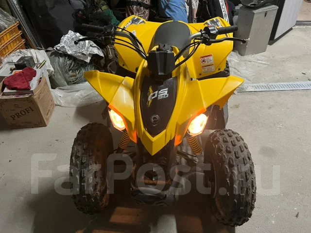 BRP Can-Am DS 90. ��������, ��, �� ����