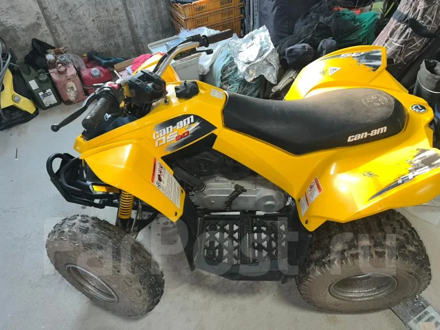 BRP Can-Am DS 90. ��������, ��, �� ����