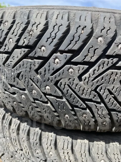 Nordman 8. ������, ����������, �/�, ����� 10 % ����