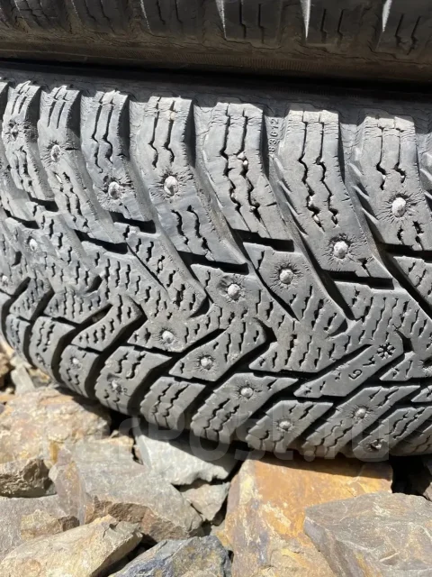 Nordman 8. ������, ����������, �/�, ����� 10 % ����