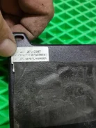 Alligator ����