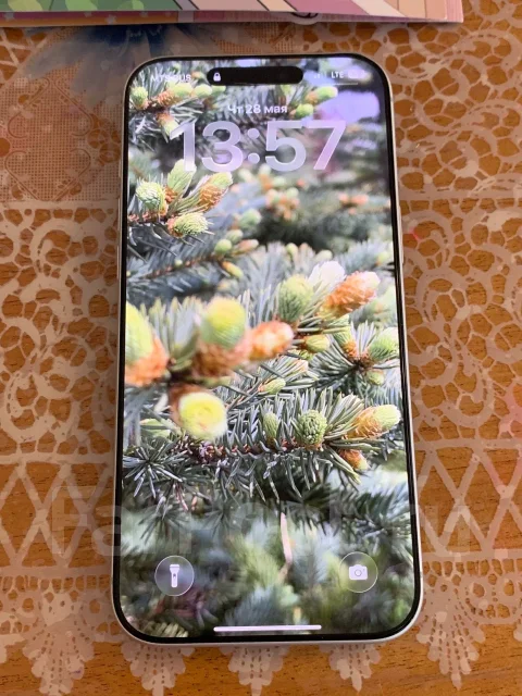 Apple iPhone. �����, 256 �� ����