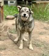 ������. ����