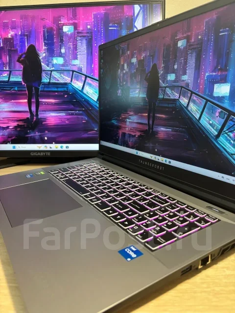 Thunderobot. 17.3", 2,4����, ��� 16 ��, ���� 500���, WiFi: 1, Bluetooth: 1 ����