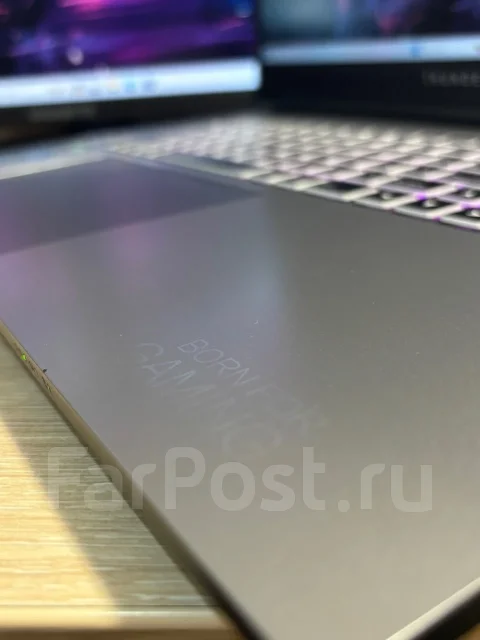 Thunderobot. 17.3", 2,4����, ��� 16 ��, ���� 500���, WiFi: 1, Bluetooth: 1 ����