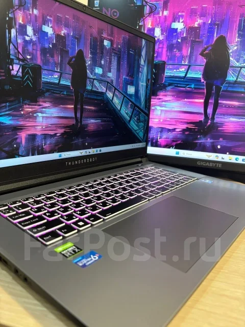 Thunderobot. 17.3", 2,4����, ��� 16 ��, ���� 500���, WiFi: 1, Bluetooth: 1 ����