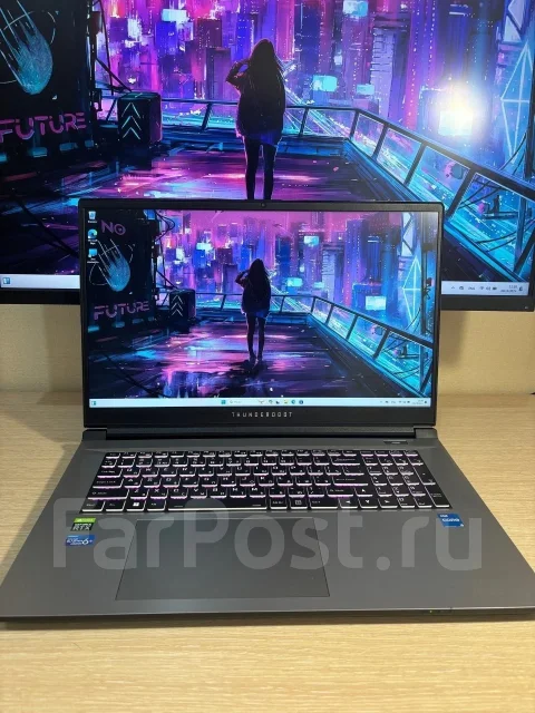 Thunderobot. 17.3", 2,4����, ��� 16 ��, ���� 500���, WiFi: 1, Bluetooth: 1 ����