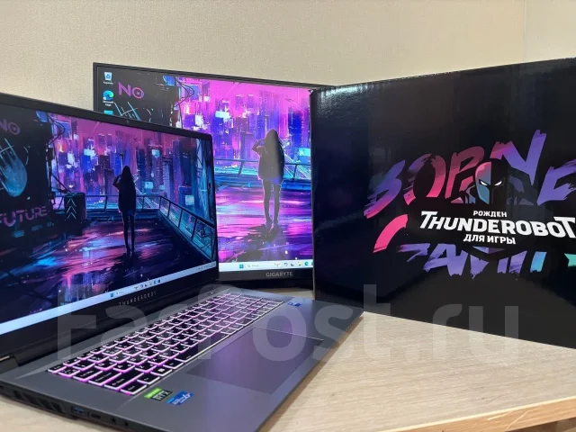 Thunderobot. 17.3", 2,4����, ��� 16 ��, ���� 500���, WiFi: 1, Bluetooth: 1 ����