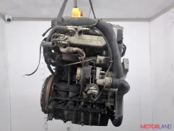 ���������� ������������ Volkswagen Passat 6 2005-2010 11825137 5N0820803C ����