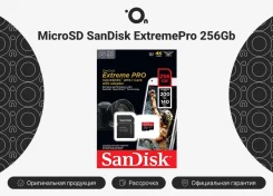 MicroSD. 256��� ����