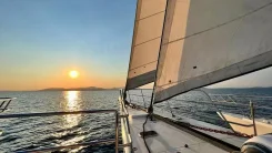 ������ ����������. 40 ������� ����