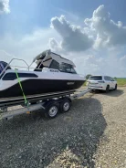 Grizzly. 2020 ���, ����� 6��., ��������� ���������, 150��.�., ������ ����
