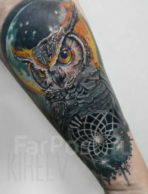 ����������. ����