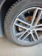 ZMax Winternova Stud II. ������, ����������, 2025 ���, �/�, ����� �� 5 % ����