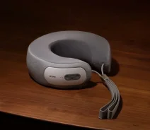 ���������. ����