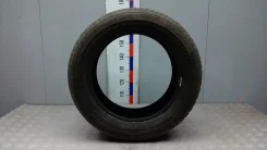 Kustone Freely F11