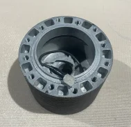 ������ ������� ����
