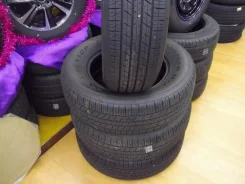Dunlop Grandtrek H/T31