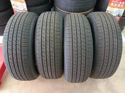 Dunlop Grandtrek H/T31