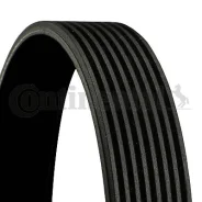 ������ ��������� 8pk1215 Contitech 8PK1215 ����