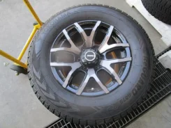 RAYS Team Daytona FDX F6