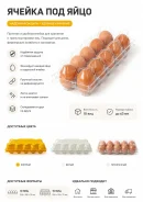 ���� �������. ����