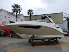 Searay. 2019 ���, ����� 8,5��., ��������� ������������, 260��.�., ������. ��� ����� �� ������������ ����