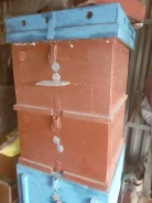 ����. ����