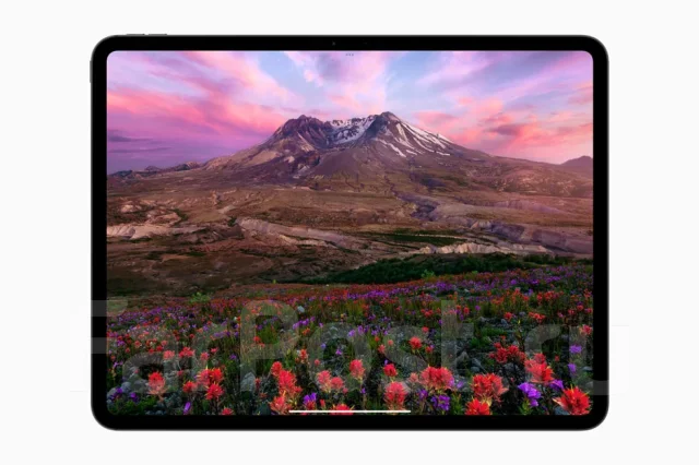 Apple iPad Pro 11 2024. 11 ������, ������ 256 ��. ��� ����� �� ������ ����