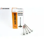 ������ ��������� SKR Engine SK21675 SKR Engine SK21675 SK21675 ����