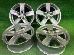 Niche Fortis