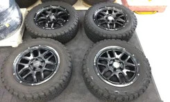 RAYS Team Daytona FDX F6
