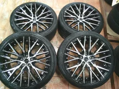 Kyoho Steiner CVX
