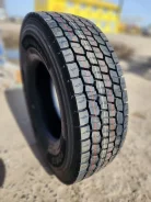 Teerex. �����������, 2026 ���, ����� ����