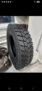 Teerex. �����������, 2026 ���, ����� ����