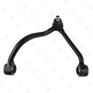 ����� ������ ��������, ���������� RN25001 RN25001 ����