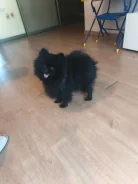 ����� �����. ����
