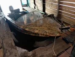 �����. 2019 ���, ����� 4,4��., ��������� ���������, 25��.�., ������ ����